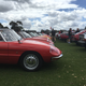 Illustration for article titled Alfa car show pic dump